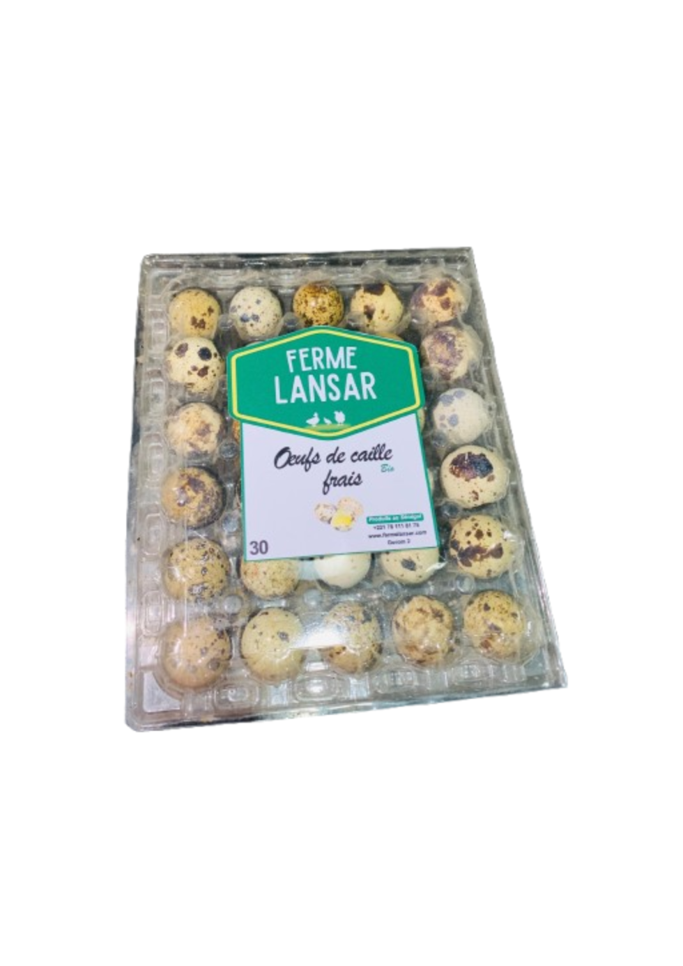 Pack 30 oeufs de caille