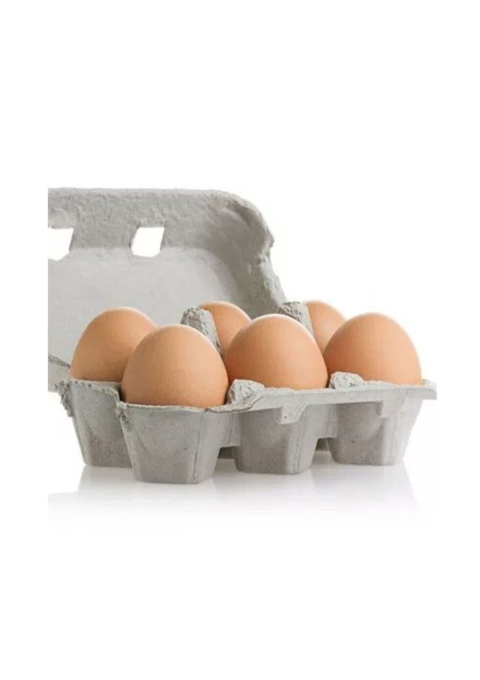 Pack 6 oeufs de poule bio