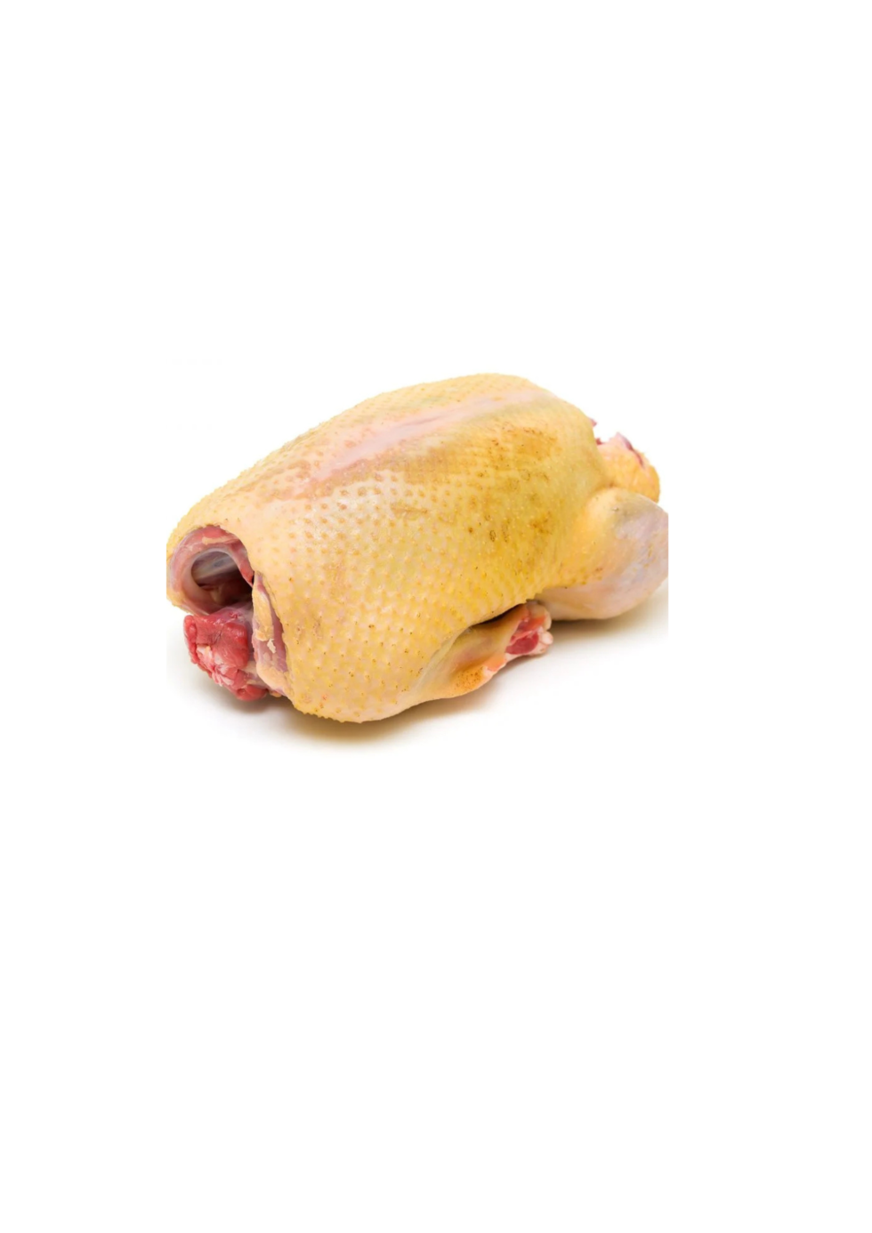 Canard colvert 1,5 kg